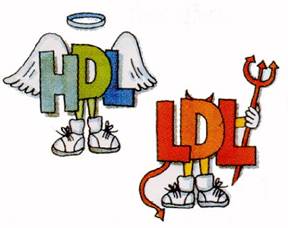 hdl-and-ldl-cholesterol