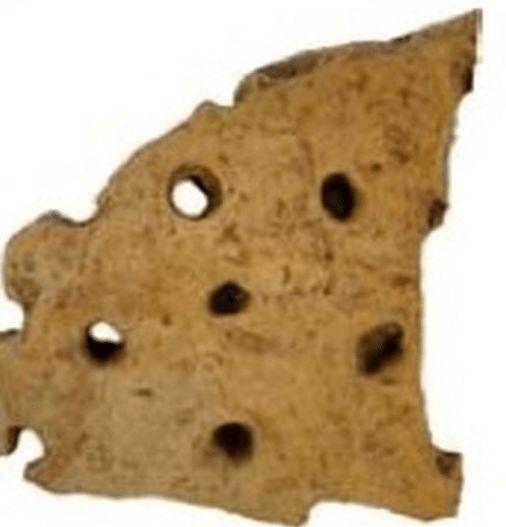 primitivecheeseshard