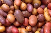 coloredpotatoes