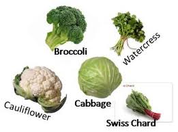 cruciferousfamily