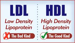 HDL:LDL