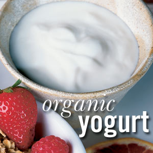 193_yogurt300