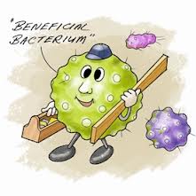 beneficialbacteriacartoon