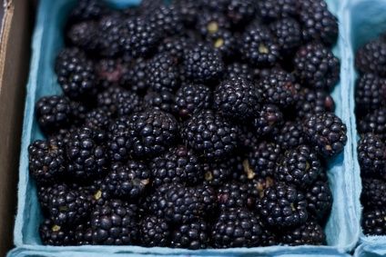 blackberries