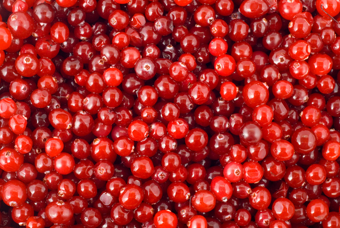 cranberries