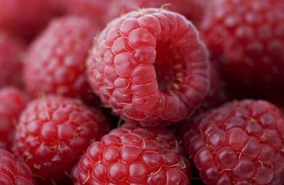 raspberries