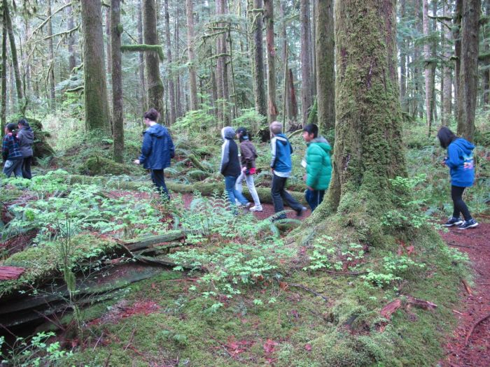 walkingthroughcampforest