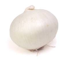 whiteonionaction