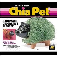 chia-pet-2-pig