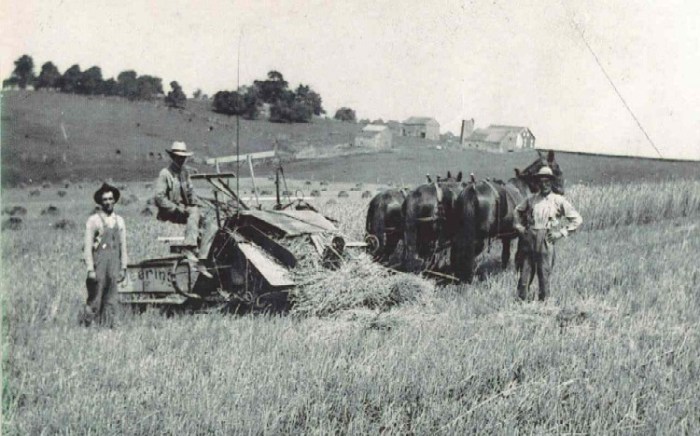 farm1910