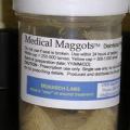 medical-maggots-logo