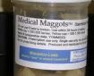 medical-maggots-logo