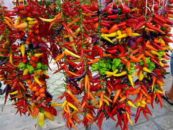 rista-hot-peppers