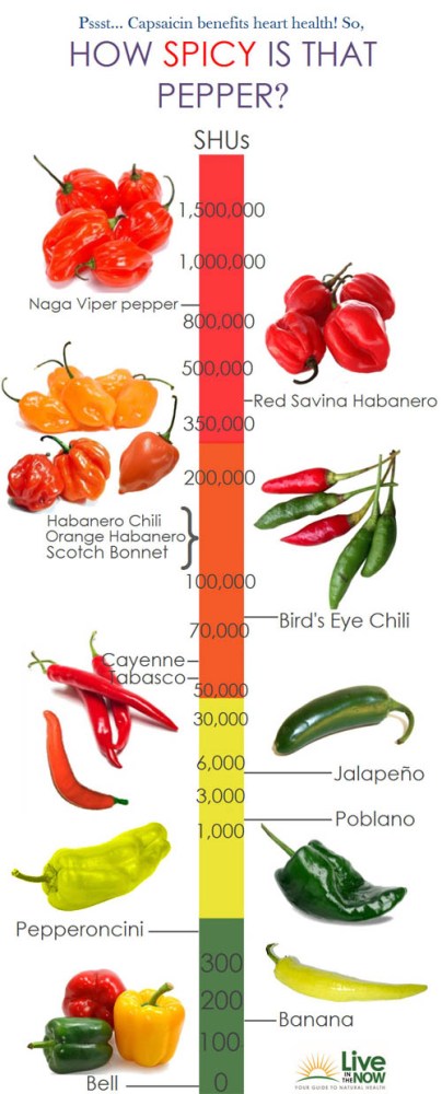 spicy-pepper-chart-of-hotness