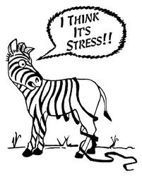 stressed-out-zebra-cartoon