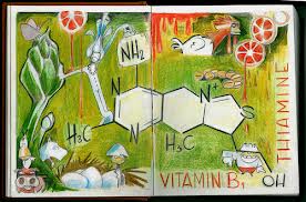 thiamine-molecule-typed