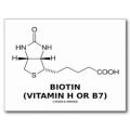 biotin-vitaminH-B7-with-Renovating-Your-Mind