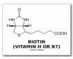 biotin-vitaminH-B7-with-Renovating-Your-Mind