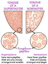 differences-supertaster-tongue-vs-regular