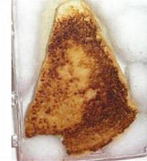 jesus-in-toast-face-mind-recognition
