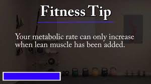 metabolic-rate-lean-muscle-mass