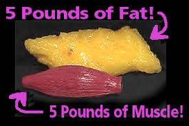 muscle-versus-fat-five-lbs
