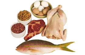 protein-foods
