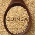 quinoa-seeds-raw-logo