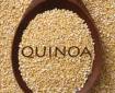 quinoa-seeds-raw-logo