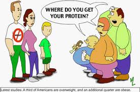 where-did-you-get-your-prote