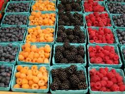 berres-at-farmers-market-can-freeze-for-winre-months