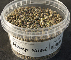 hemp-seeds