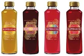 kombucha-fermented-tea-functional-product-vinegar