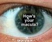 logo-how-is-your-macula-imagine-of-eye