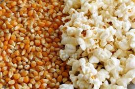 non-popped-popped-corn