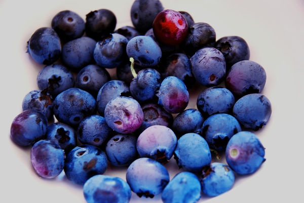 plain-blueberries-Renovating-Your-Mind-superfood-