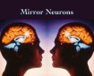 Renovating-Your-Mind-explains-mirror-neurons