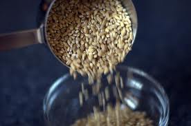 scopping-barley-grass