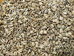 sunflower-seeds