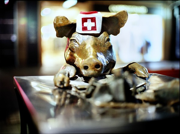 swine-flu-containminate-pork