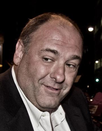 Renovating-Your-Mind-ponders-if-james-gandolfini-got-hypothermia-therapy-would-he-still-be-alive