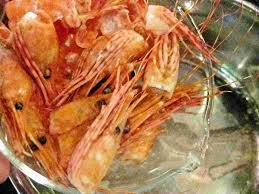 shrimp-with-heads-antennas