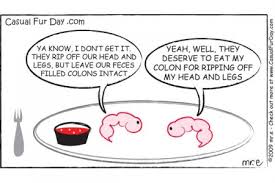 what-shrimp-talk-about-after-getting-their-heads-pulled-off