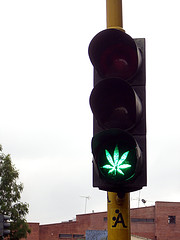 cannabis-gets-green-light