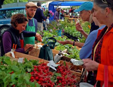 farmers-market-maine