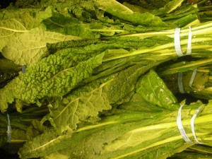 kale-lacinato-dinosaur-tuscon-variety
