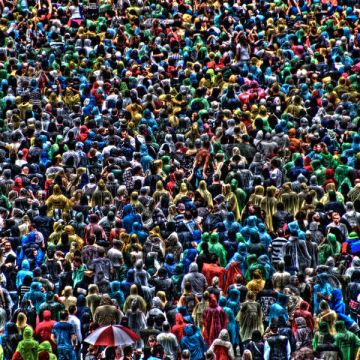 massive-amounts-of-people-hate-crowds-oh-boy