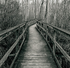 path-to-your-future-starts-with-first-step