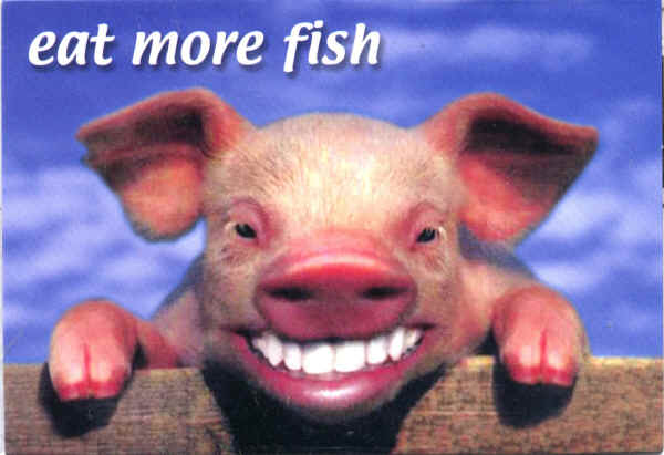 pig-smiling-with-eat-fish