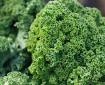 Renovating-Your-Mind-does-kale-and-the-power-of-one-leafy-green